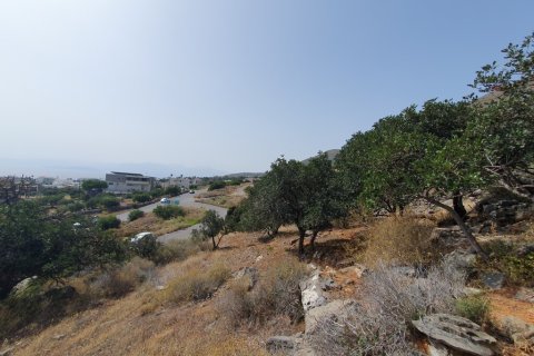 5834m² Land à Agios Nikolaos, Greece No. 55467 3