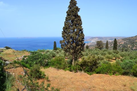 2700m² Land à Sitia, Greece No. 58166 2