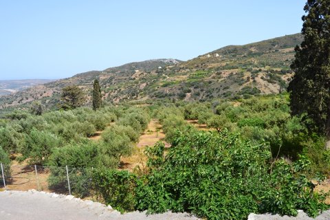 2700m² Land in Sitia, Greece No. 58166 3