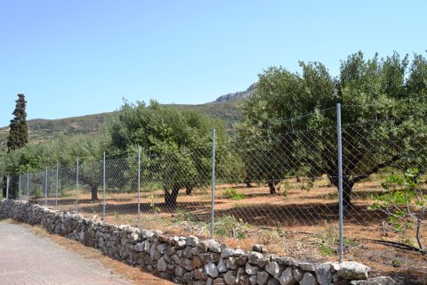 2700m² Land en Sitia, Greece No. 58166 4