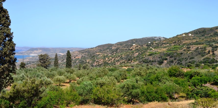 2700m² Land à Sitia, Greece No. 58166