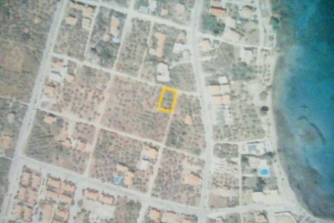 1000m² Land en Thasos, Greece No. 58191 4