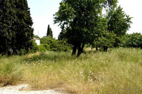 2100m² Land en Marathon, Greece No. 58163 2