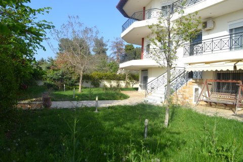 7 dormitorios House en Chalkidiki, Greece No. 58189 28