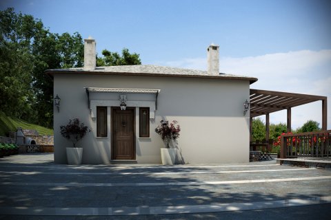 383m² Villa in Mouresi, Greece No. 60086 3