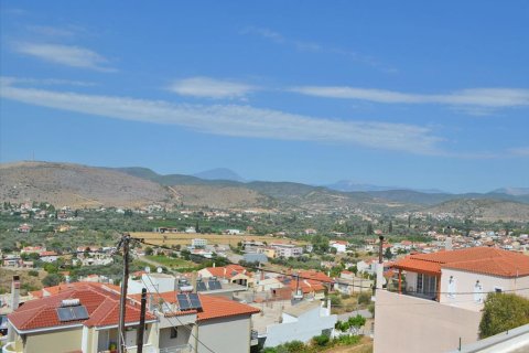 5 dormitorios Maisonette en Chalcis, Greece No. 60087 9