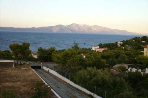 3 bedrooms Maisonette in Malesina, Greece No. 60089 30