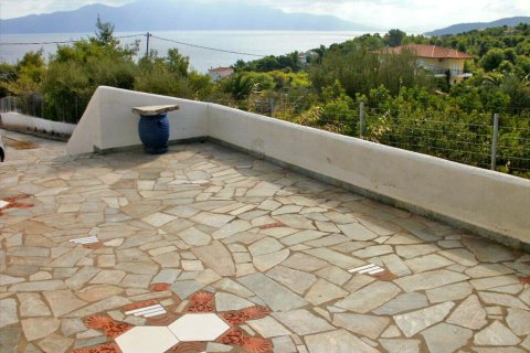 3 dormitorios Maisonette en Malesina, Greece No. 60089 28