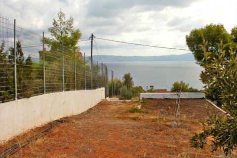 3 bedrooms Maisonette in Malesina, Greece No. 60089 26