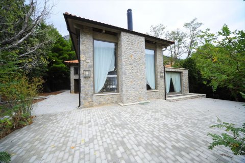 4 dormitorios House en Boeotia, Greece No. 59962 19