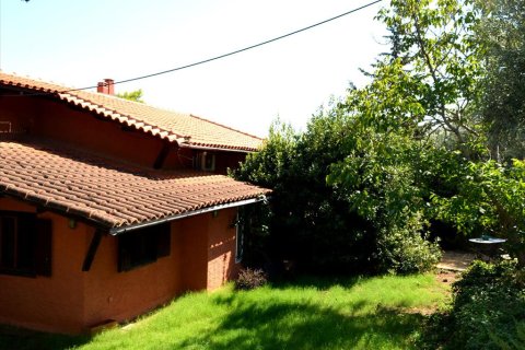 5 dormitorios Villa en Paiania, Greece No. 60088 16