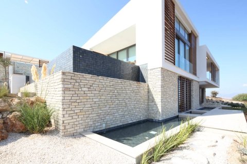 4 dormitorios Villa en Tsada, Cyprus No. 37432 3