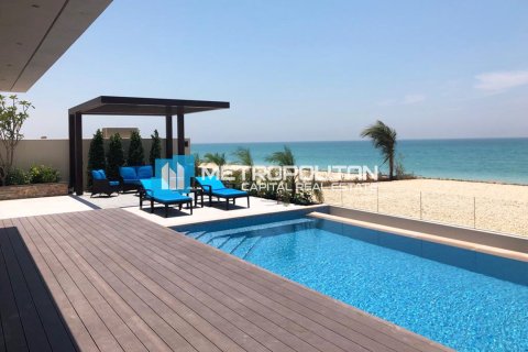 5 bedrooms Villa on the Saadiyat Island, UAE No. 4242 1