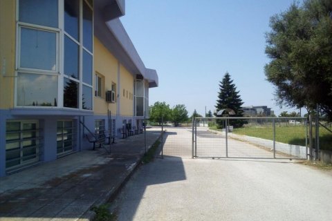 3200m² Building in Pylaia, Greece No. 58052 6