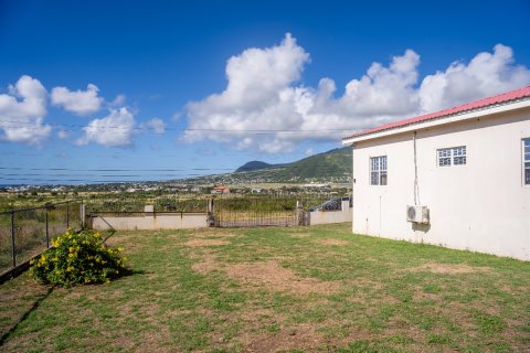 4 bedrooms Villa in Basseterre, Saint Kitts and Nevis No. 61459 4