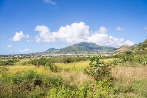 4 bedrooms Villa in Basseterre, Saint Kitts and Nevis No. 61459 26