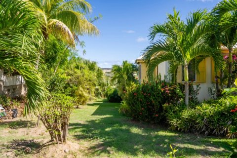 4 chambres Villa à Frigate Bay, Saint Kitts and Nevis No. 61460 27