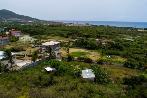 12263.2m² Land en Conaree, Saint Kitts and Nevis No. 61454 3