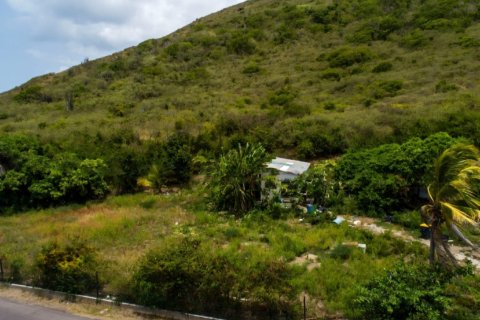 12263.2m² Land in Conaree, Saint Kitts and Nevis No. 61454 1