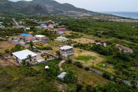 12263.2m² Land à Conaree, Saint Kitts and Nevis No. 61454 2