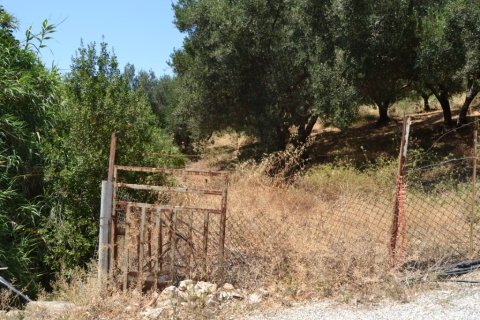 2920m² Land à Heraklion, Greece No. 57080 1