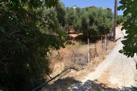 2920m² Land en Heraklion, Greece No. 57080 7