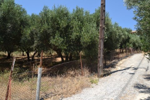 2920m² Land en Heraklion, Greece No. 57080 4