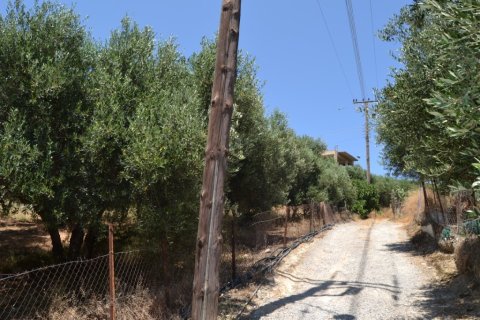 2920m² Land en Heraklion, Greece No. 57080 5