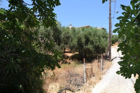 2920m² Land en Heraklion, Greece No. 57080 6