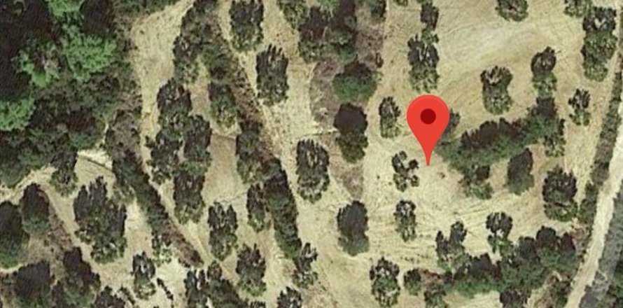 10000m² Land in Chalkidiki, Greece No. 57079