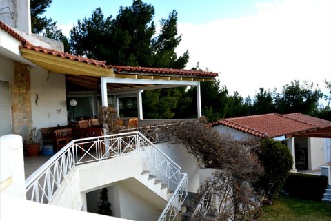 430m² Villa in Marathon, Greece No. 58866 12