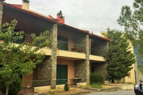 175m² Affaires à Pella, Greece No. 56784 2