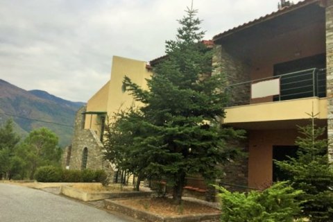 175m² Affaires à Pella, Greece No. 56784 5