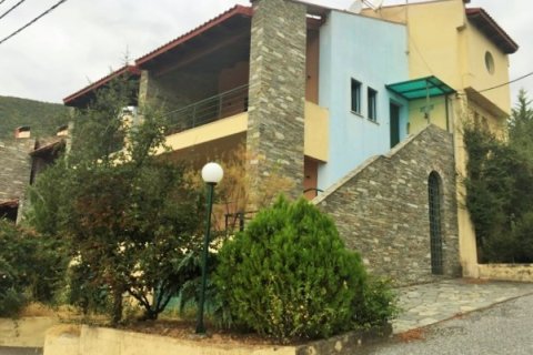 175m² Affaires à Pella, Greece No. 56784 3