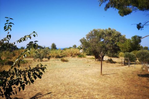 3650m² Land in Chalkidiki, Greece No. 57025 2