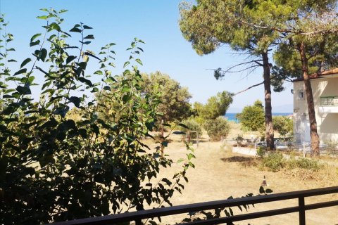 3650m² Land en Chalkidiki, Greece No. 57025 3