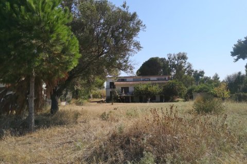 3650m² Land à Chalkidiki, Greece No. 57025 1