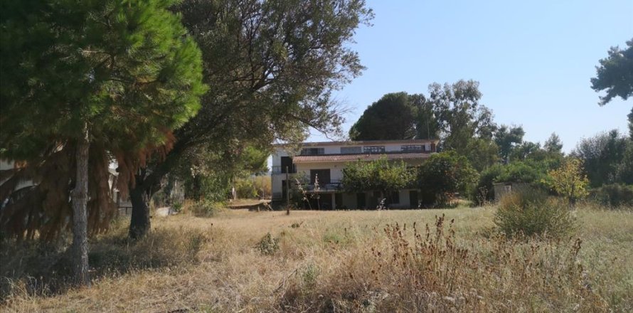 3650m² Land in Chalkidiki, Greece No. 57025