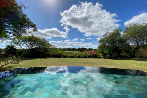 4 bedrooms Villa in Tamarin, Mauritius No. 60981 3