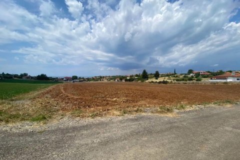 14500m² Land à Chalkidiki, Greece No. 56004 8