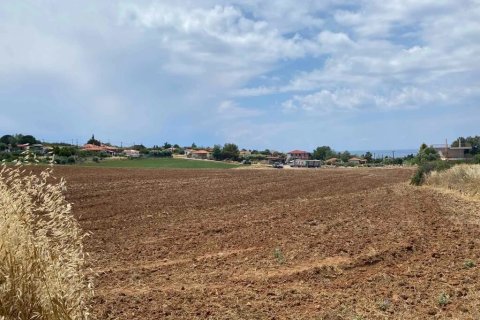 14500m² Land en Chalkidiki, Greece No. 56004 6