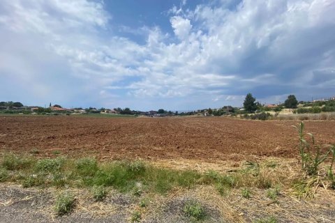 14500m² Land à Chalkidiki, Greece No. 56004 5