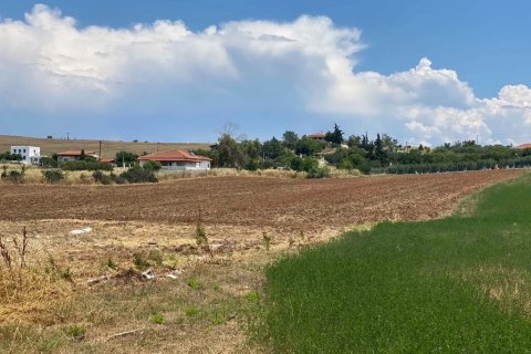 14500m² Land in Chalkidiki, Greece No. 56004 4