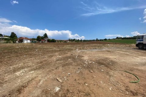 14500m² Land en Chalkidiki, Greece No. 56004 3