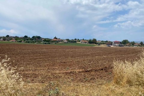 14500m² Land en Chalkidiki, Greece No. 56004 7