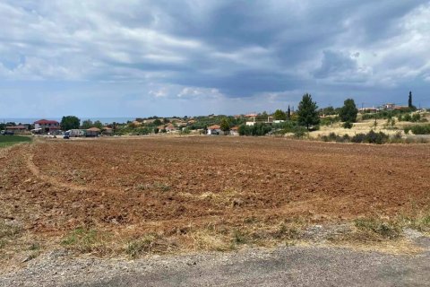 14500m² Land à Chalkidiki, Greece No. 56004 2