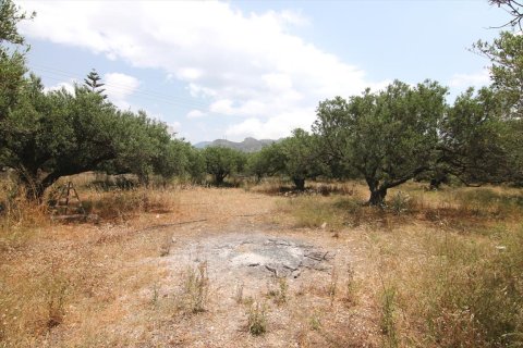 4613m² Land à Ierapetra, Greece No. 59675 4