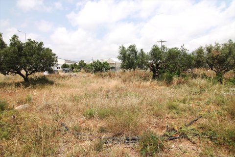 4613m² Land in Ierapetra, Greece No. 59675 3