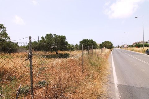 4613m² Land à Ierapetra, Greece No. 59675 1