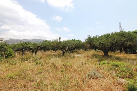 4613m² Land en Ierapetra, Greece No. 59675 2